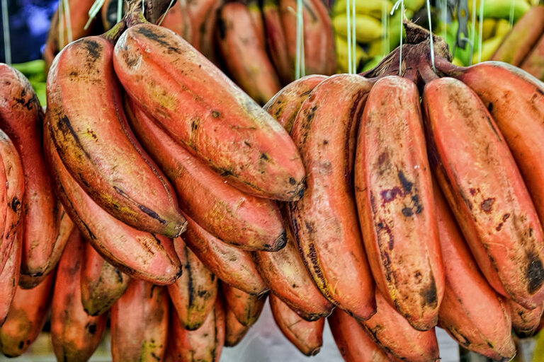 Czerwone banany – pochodzenie, gdzie kupić i jak jeść