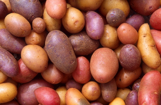Co zamiast ziemniaków na diecie keto? Dieta ketogeniczna – Jak zacząć